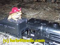 /home//u458753944/public_html/sourcegallery////////////////////////Roxborough Toad Detour/2013-2019/2017/P4050681.JPG